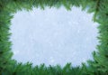 Christmas frame of fir over natural snow. Royalty Free Stock Photo