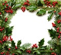 Christmas frame with holly berries and leaves,fir tree branches on white background, closeup, top view Royalty Free Stock Photo