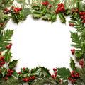 Christmas frame with holly berries and leaves,fir tree branches on white background, closeup, top view Royalty Free Stock Photo