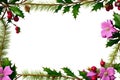 Christmas frame of holly and pink poinsettia on a white background. Generative AI Royalty Free Stock Photo