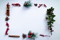 Christmas frame made with mistletoe, anise and cinnamon on white background. Copy space Royalty Free Stock Photo