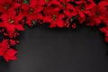 Christmas composition. A border frame made of Poinsettia flowers isolated on a black chalkboard background Royalty Free Stock Photo