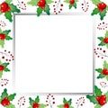 Christmas frame with mistletoe berries Royalty Free Stock Photo