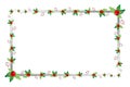 Christmas frame with mistletoe berries Royalty Free Stock Photo