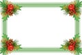 Christmas frame - ornament with green branch