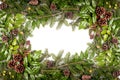 Christmas frame of pine tree branches - isolated on white Royalty Free Stock Photo