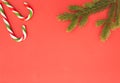 Christmas frame on red background. Green fir branches and candy canes. Top view, flat lay. Copy space for text Royalty Free Stock Photo