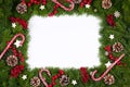 Christmas frame of tree branches Royalty Free Stock Photo