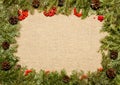 Christmas framework with evergreen fir tree, cones and holly berry on burlap background. Royalty Free Stock Photo