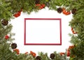 Christmas framework with evergreen fir tree, cones,holly berry a Royalty Free Stock Photo