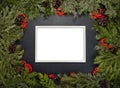 Christmas framework with evergreen fir tree, cones,holly berry a