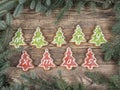 Christmas framework with gingerbread cookies