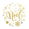 Christmas in French Joyeux Noel gold glitter text lettering