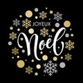 Christmas in French Noel text ornament for greeting card