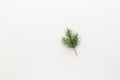 Christmas fresh spruce branch on a white background. minimalistic concept. Flat lay, top view, where you want to copy