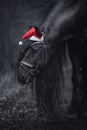 Christmas friesian stallion horse with long mane in red cap Royalty Free Stock Photo