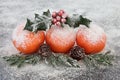 Christmas Fruit Decoration