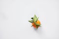 Christmas fruit. Orange fresh tangerines or mandarines with green leaves in a paper bag lie on a white background Royalty Free Stock Photo