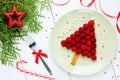 Christmas fun food idea for kids - raspberry Christmas tree Royalty Free Stock Photo