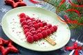 Christmas fun food idea for kids - raspberry Christmas tree Royalty Free Stock Photo