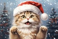 Christmas funny cat wearing a red Santa hat, surrounded by snowflakes, Christmas tree branch and berry branch