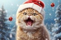 Christmas funny cat wearing a red Santa hat, surrounded by snowflakes, Christmas tree branch and berry branch