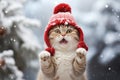 Christmas funny cat wearing a red Santa hat, surrounded by snowflakes, Christmas tree branch and berry branch