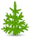 Christmas fur-tree on white Royalty Free Stock Photo