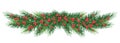 Long garland of Christmas tree branches and red berries. Vector