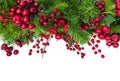 Christmas Garland Border with Red Berries Over White Royalty Free Stock Photo