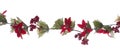 Christmas garland border