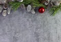 Christmas tree garland of cones and spruce branches on a gray background Royalty Free Stock Photo