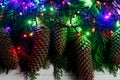 Christmas garland lights and pine cones on fir branches. stylish Royalty Free Stock Photo