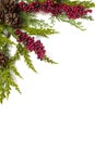 Christmas Garland with Pine Cones and Berries on white Royalty Free Stock Photo