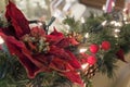 Christmas Garland with Poinsettia and Lights Royalty Free Stock Photo