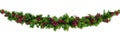 Christmas Garland with Red Berries Isolated on White