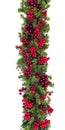 Christmas Garland with Red Berries Vertical Hang Isolated on White
