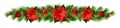 Christmas garland with red pionsettia flowers, pine twigs and de Royalty Free Stock Photo