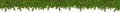 Christmas garland super wide panorama banner with undecorated empty blank natural rustic fresh green fir branches traditional pine