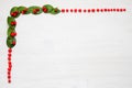 Christmas garland with winter berries Royalty Free Stock Photo