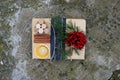 Christmas gift boxes presents scene with pine tree, deer and xmas decorations