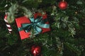 A Christmas gift between the legs of a fir tree decorated with toys, lights of garlands and balls. Royalty Free Stock Photo