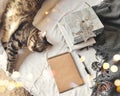 Cosy home flat lay composition with present box, blank copybook, a pen and a sleeping cat on a bed with copyspace. Holiday