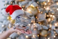 Christmas gifts shopping time. Woman holding a shopping trolley in a santa claus hat by the christmas tree. Royalty Free Stock Photo