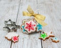 Christmas ginger and honey colorful cookies