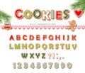 Christmas Gingerbread Cookie font. Biscuit letters and numbers. Vector Royalty Free Stock Photo