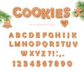 Christmas Gingerbread Cookie font. Biscuit letters and numbers. Vector EPS10 Royalty Free Stock Photo