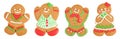christmas gingerbread cookie isolated on white background Royalty Free Stock Photo