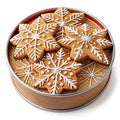 Christmas gingerbread cookie tin with classic snowflake illustrations Royalty Free Stock Photo