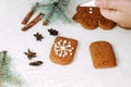 Christmas gingerbread cookies painted with icing sugar. Confectioner girl paints Royalty Free Stock Photo